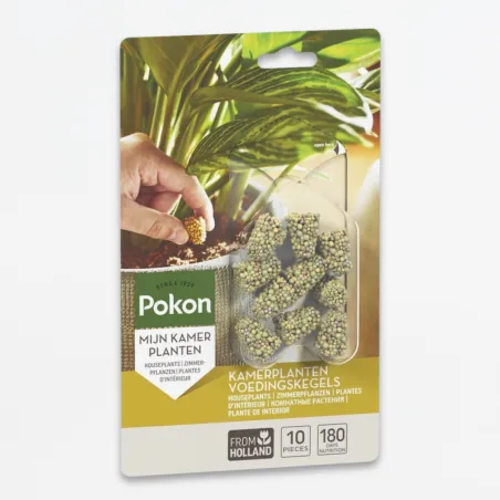 Pokon Cônes Alimentaires Pour Plantes D'intérieur - 10 Pièces