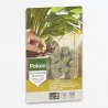 Pokon Cônes Alimentaires Pour Plantes D'intérieur - 10 Pièces