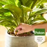 Pokon Cônes Alimentaires Pour Plantes D'intérieur - 10 Pièces