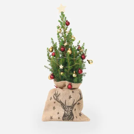 Mini-Sapin en Jute avec Décorations – Picea Glauca Conica 55-65 cm | bb-potager.com