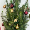 Mini-Sapin en Jute avec Décorations – Picea Glauca Conica 55-65 cm | bb-potager.com