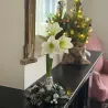 Amaryllis Couronne de Noël Argent – Bulbe Ciré Décoratif | bb-potager.com