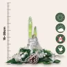 Amaryllis Couronne de Noël Argent – Bulbe Ciré Décoratif | bb-potager.com