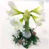 Amaryllis Couronne de Noël Argent – Bulbe Ciré Décoratif | bb-potager.com