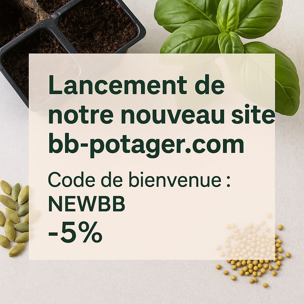 Lancement de notre nouveau site !